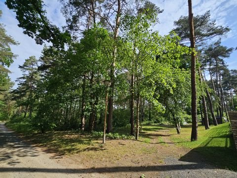 Bad Saarow Grundstücke, Bad Saarow Grundstück kaufen