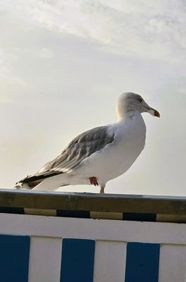 Strandnähe.jpg