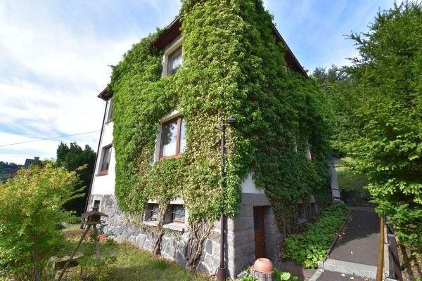 38 Seitenansicht.JPG