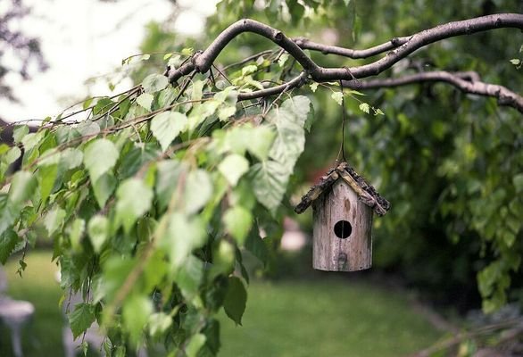 Vogelhäuschen