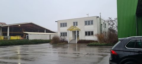 Efringen-Kirchen Halle, Efringen-Kirchen Hallenfläche