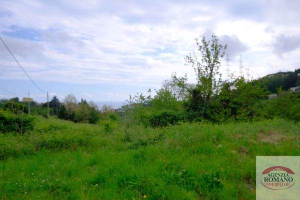 Rif 1462(Copy31).jpg