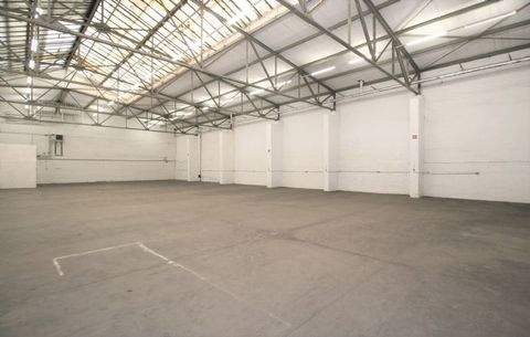 Köln Halle, Köln Hallenfläche