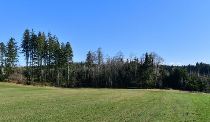 Waldgrundstück