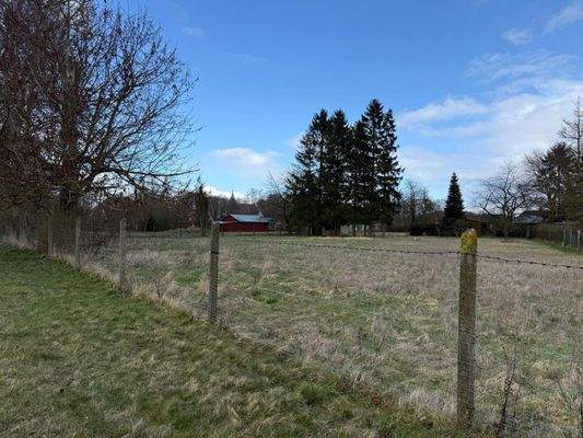 WhatsApp Image 2026-03-31 at 18.15.18 (6).jpeg