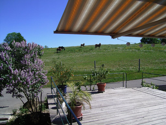 Blick auf die Koppel