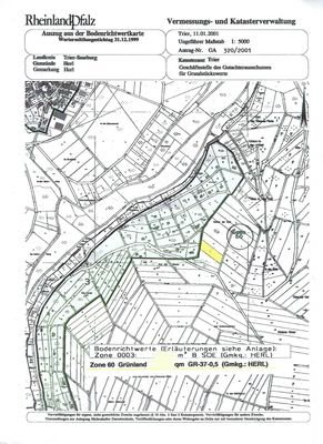 Flur- Katasterkarte Grundstück landwirtschaftl. Fl