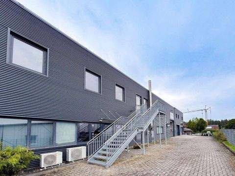 Schwentinental Halle, Schwentinental Hallenfläche