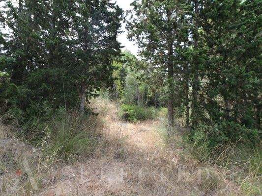 Solar für Verkauf in Bonaire, Alcudia 09