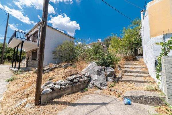 Papatsiaras-Theologos-Kekes 24-07-2024-11.jpg