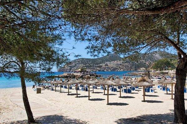 87782 camp de mar playa2