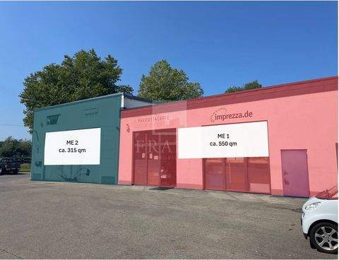 Lindau Halle, Lindau Hallenfläche