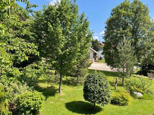 schön eingewachsenes Grundstück