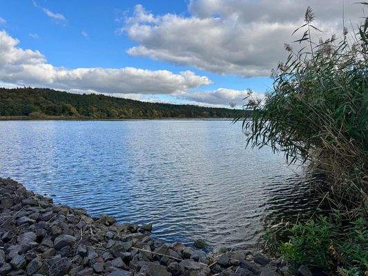  Elbe In nur 3 Min. erreichbar