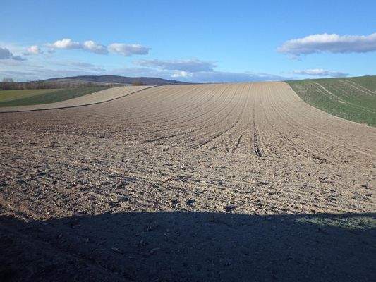 Ackerfläche - Symbolfoto