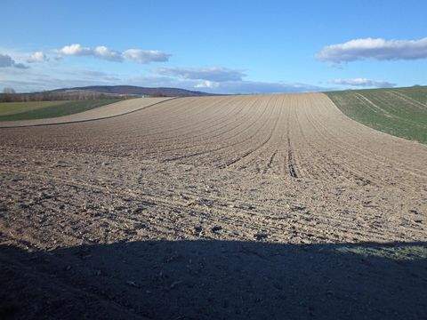 Unterrohrbach Bauernhöfe, Landwirtschaft, Unterrohrbach Forstwirtschaft