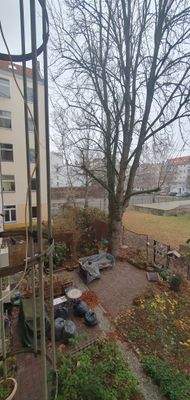 Fensterblick auf Hinterhof.jpg