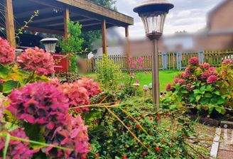 Gepflegter Vordergarten