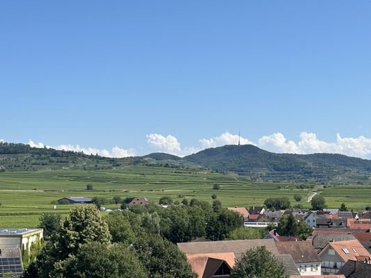 Blick vom Balkon