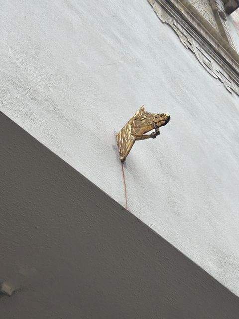 Ingolstadt WG Ingolstadt, Wohngemeinschaften