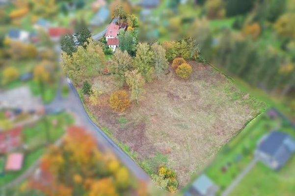 91a5c212-6467-4835-a272-32618846b209 (002).JPG