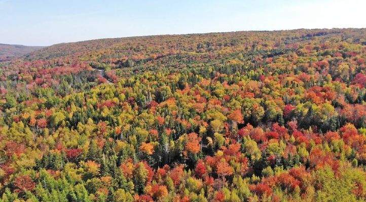 Nova Scotia - West Side Country Harbour - 52-Hekta