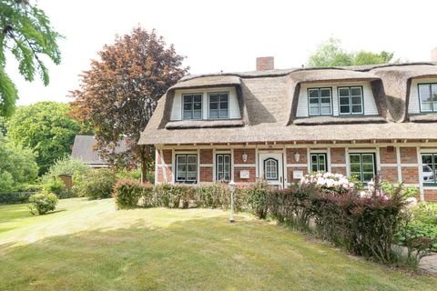 Wingst Häuser, Wingst Haus kaufen
