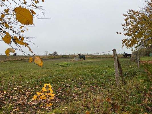 Teils unverbaubarer Blick in die Weite der Natur gegeben