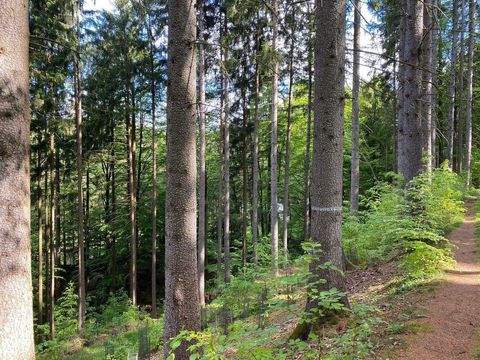 Flossenbürg Grundstücke, Flossenbürg Grundstück kaufen