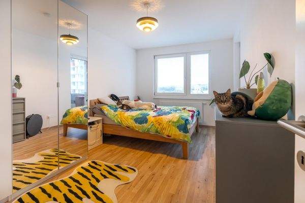 Master Bedroom derzeitige Einrichtung