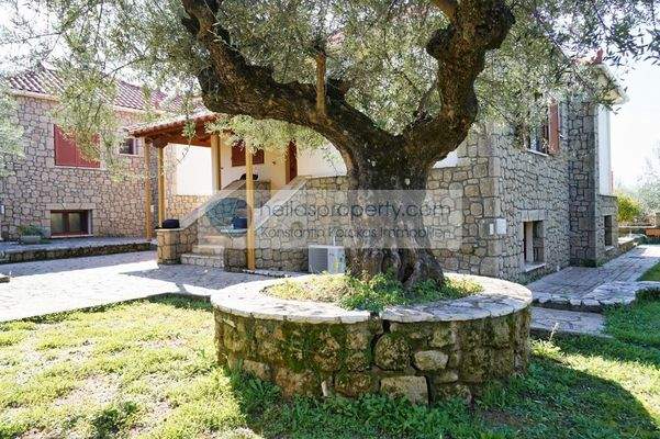 72bdf1065a47486bae9451955f886e09-original