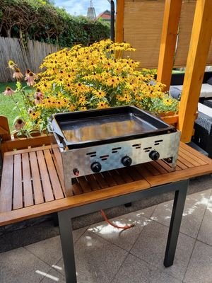 70929