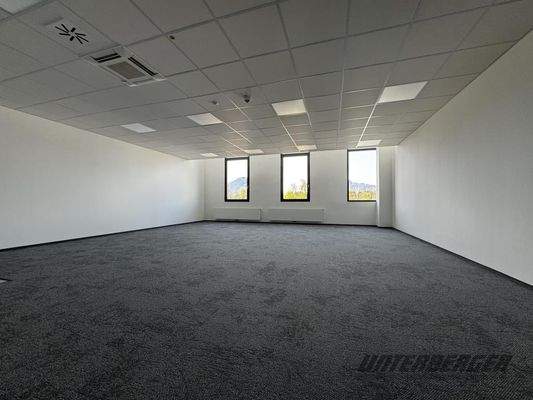 viel Platz für Ihre Ideen