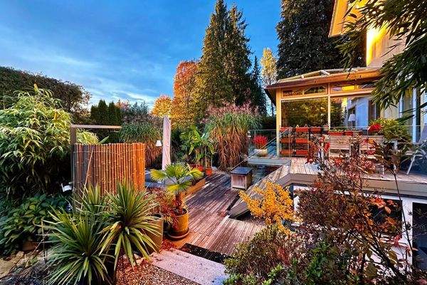 Sommeransicht Garten