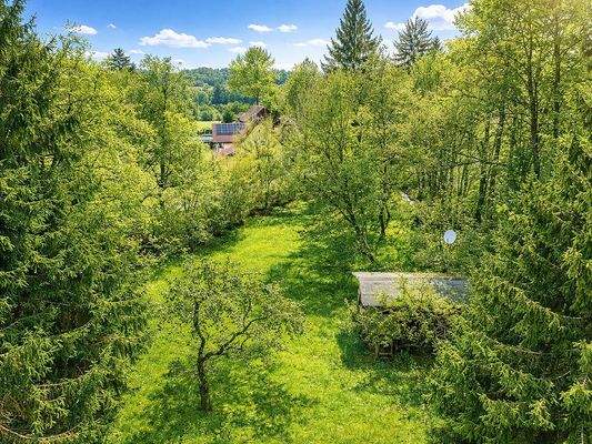 Garten vorderes Grundstück