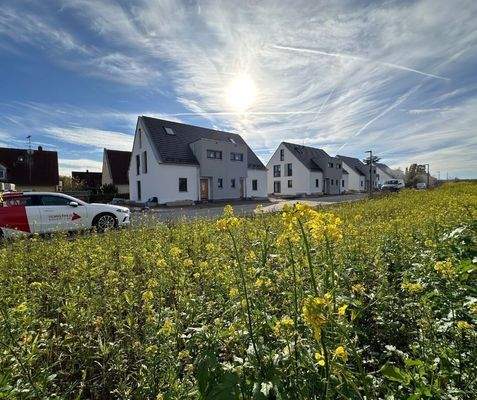 Sonniges Wohnen nah an der Natur - und der Stadt