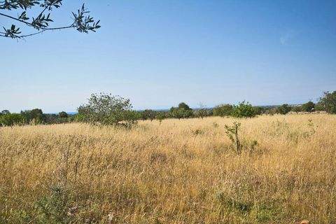 Santanyi Grundstücke, Santanyi Grundstück kaufen