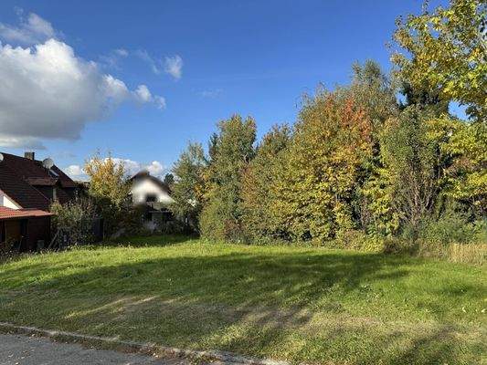 Auf dem Grundstück in Richtung Norden