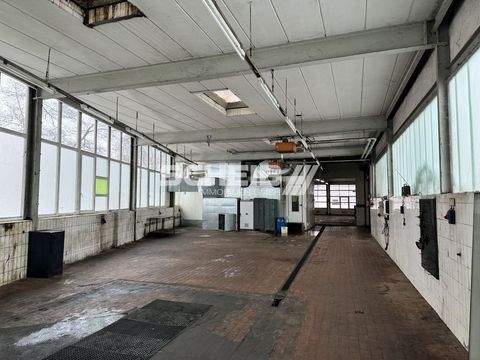 Crailsheim Halle, Crailsheim Hallenfläche