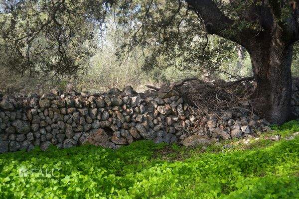 Licht und Schatten/luz y sombra/light and shadow