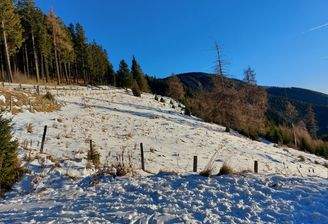 Bauland in sonniger Aussichtslage auf 1.500 m