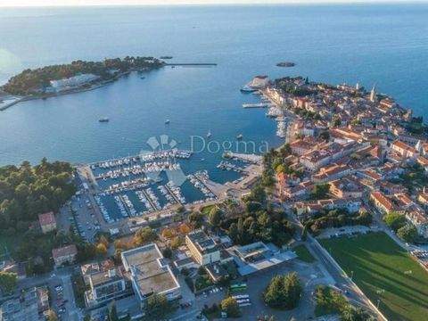 Luka Bauernhöfe, Landwirtschaft, Luka Forstwirtschaft