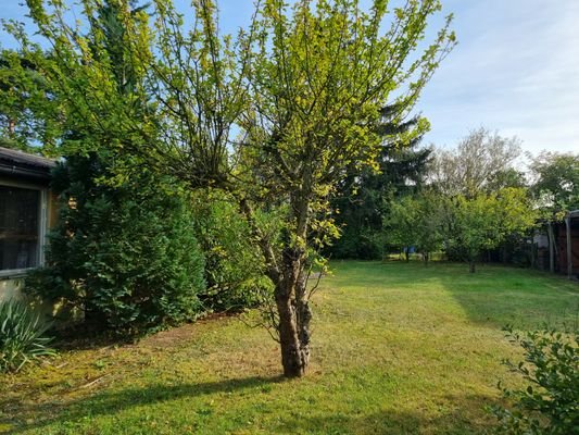 Der Garten