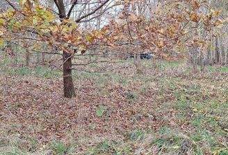 Blick auf das Wohngrundstück