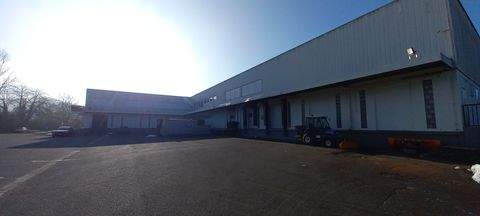 Homberg Halle, Homberg Hallenfläche