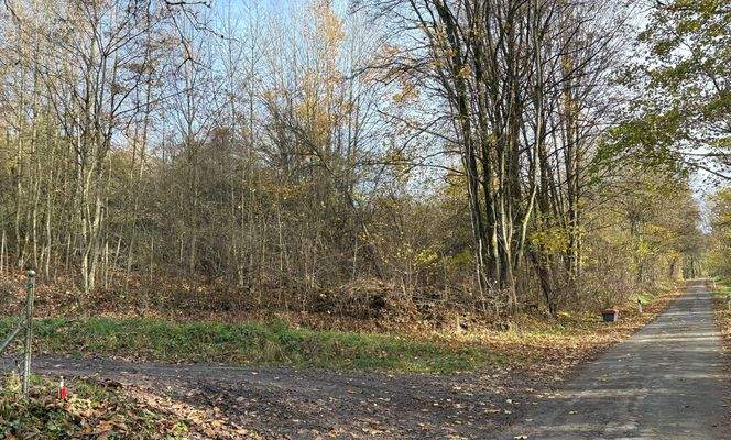 Abzweig zum Grundstück