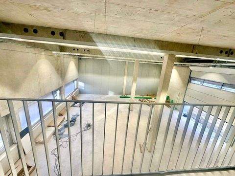 Hilzingen Halle, Hilzingen Hallenfläche