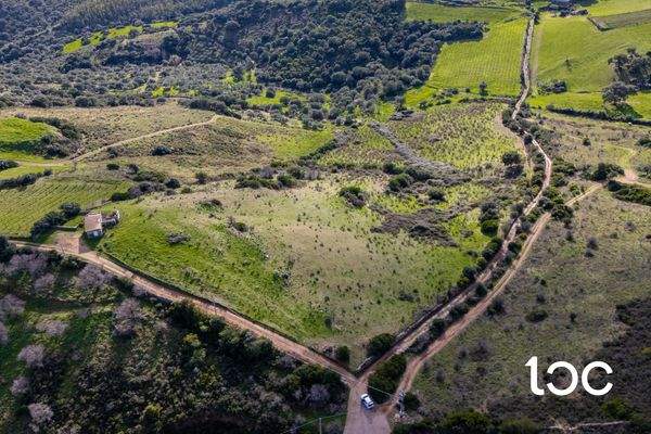 TERR. AGRICOLO-8.jpg