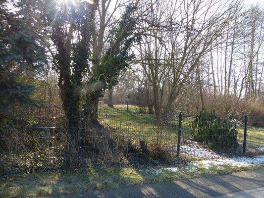 Blick zum Grundstück von der Straße B.1