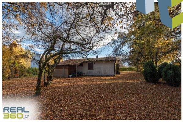 Nördlicher Teil des Grundstücks